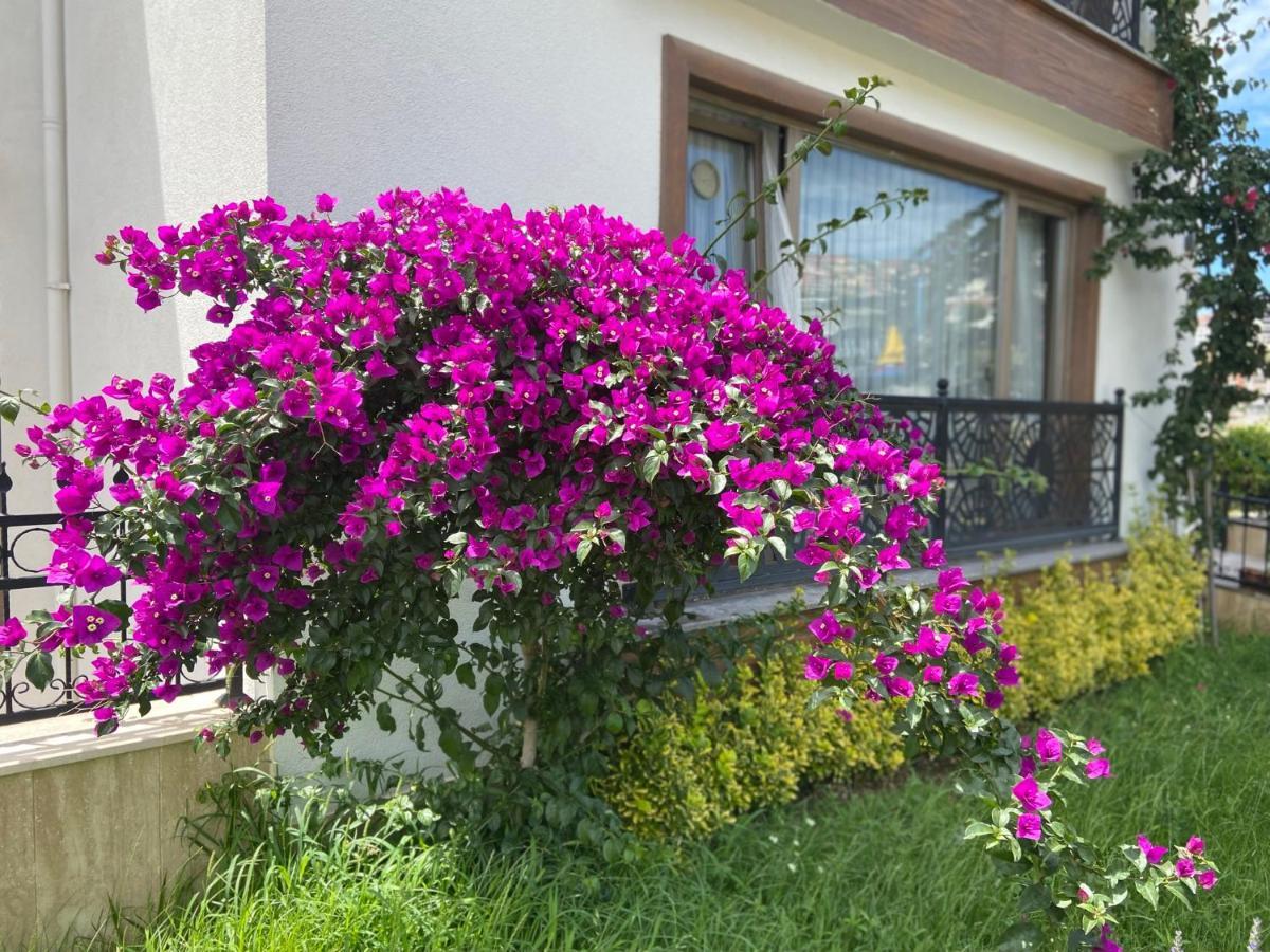 Yelken Pansiyon Sinope Esterno foto